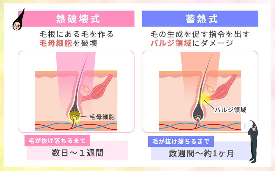 熱破壊式と耐熱式