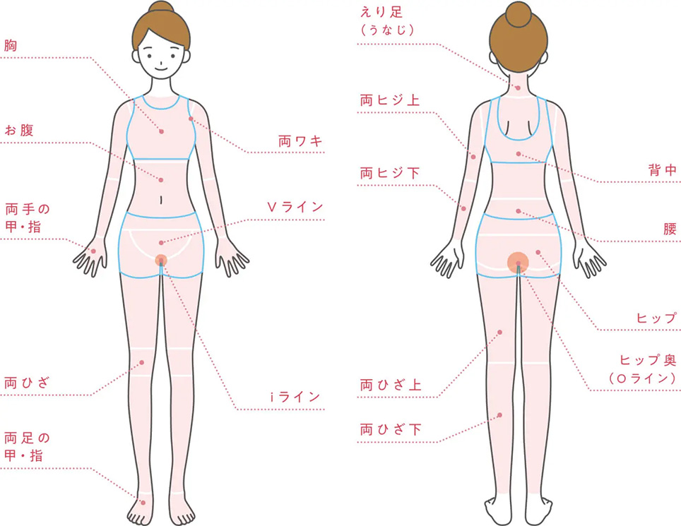 じぶんクリニックの全身＋VIO脱毛の部位一覧