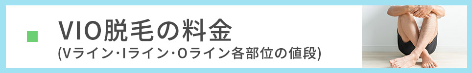 VIO脱毛の料金