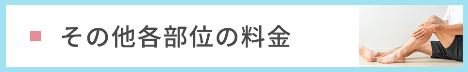 その他各部位の料金