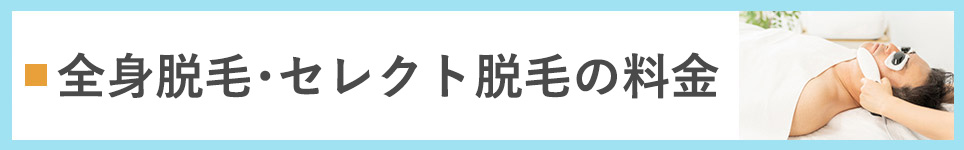 全身脱毛の料金