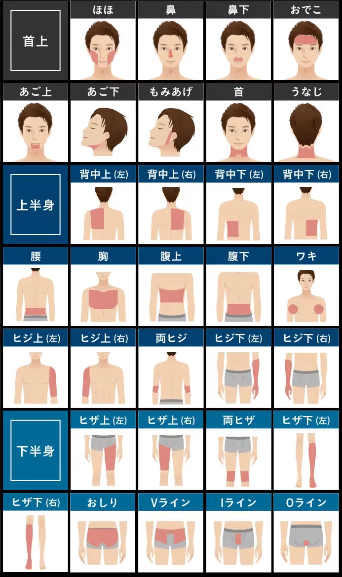 メンズエミナルのセレクト全身脱毛の対象部位一覧