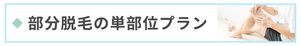 部分脱毛の単部位プラン