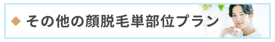 その他の顔脱毛単部位プラン