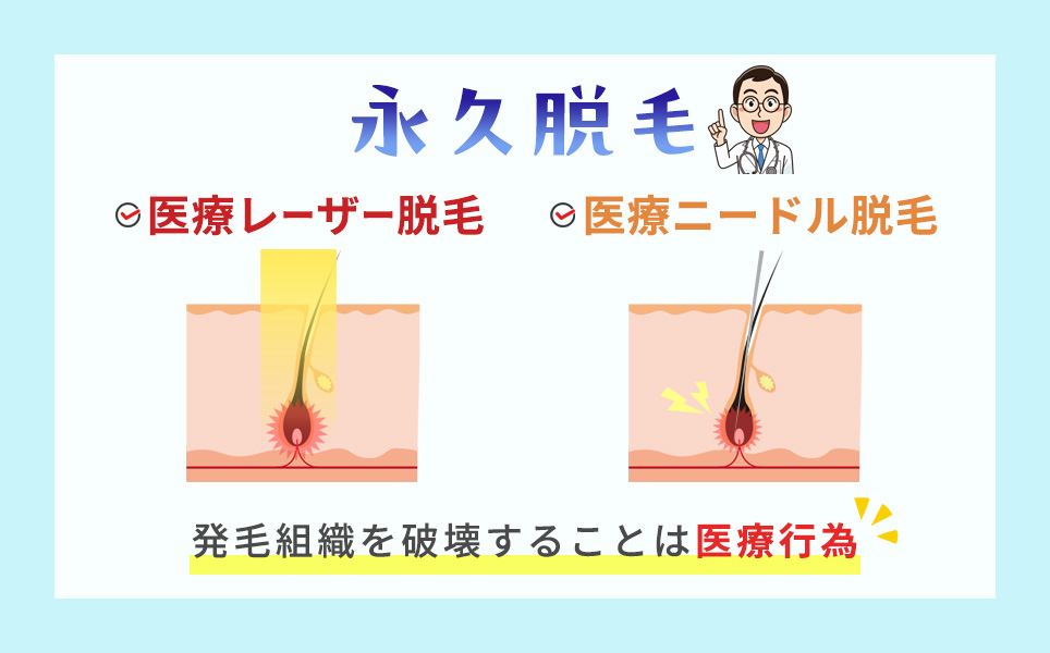 永久脱毛は医療レーザー・医療ニードルが当てはまる