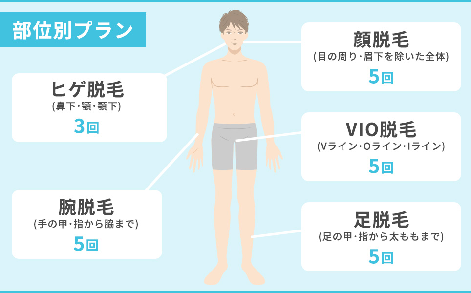 部位別のプラン