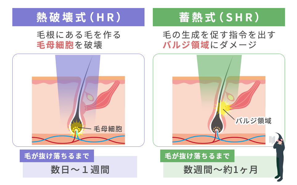 蓄熱式と熱破壊式の特徴の図説