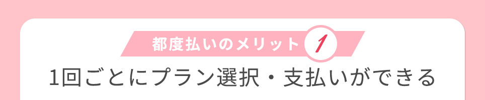 都度払いのメリット①1回ごとにプラン選択・支払いができる